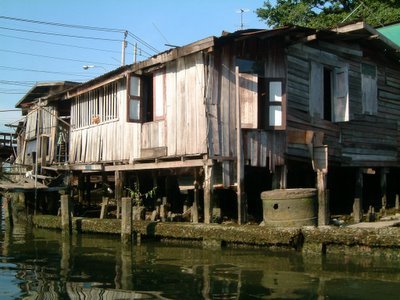 rio 001  LEADOR BOSQUE
